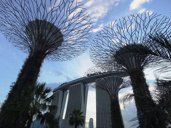 新加坡留学方案语言要求比较方法